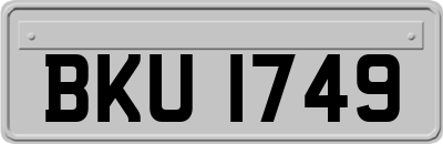 BKU1749
