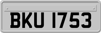 BKU1753