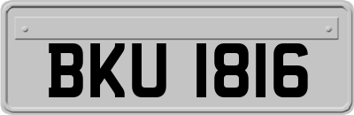 BKU1816