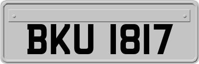 BKU1817
