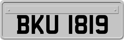 BKU1819