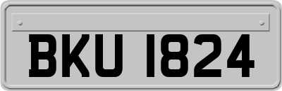 BKU1824