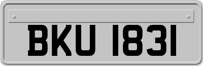 BKU1831