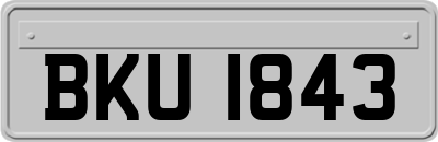 BKU1843