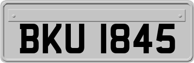 BKU1845