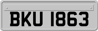 BKU1863