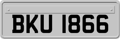 BKU1866
