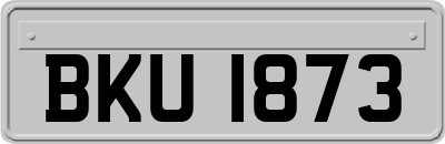 BKU1873