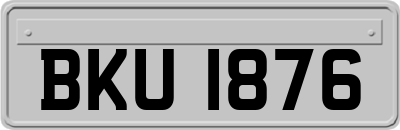BKU1876