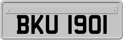 BKU1901