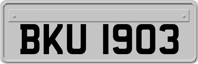 BKU1903