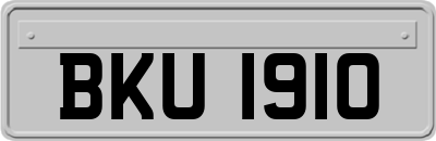 BKU1910