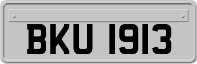 BKU1913