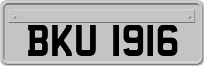 BKU1916