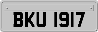 BKU1917