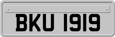 BKU1919