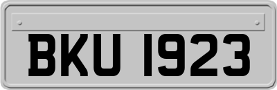 BKU1923