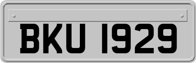 BKU1929
