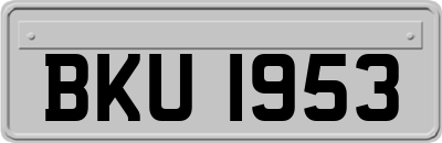 BKU1953