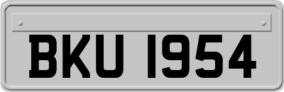 BKU1954