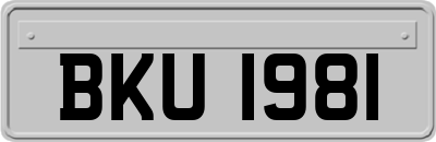BKU1981