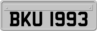 BKU1993