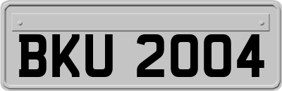 BKU2004