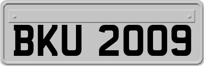 BKU2009