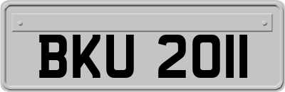 BKU2011