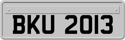 BKU2013
