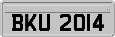 BKU2014