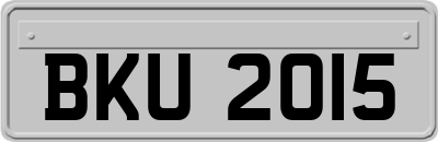 BKU2015