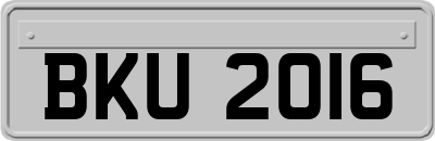 BKU2016