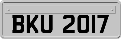 BKU2017