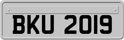 BKU2019
