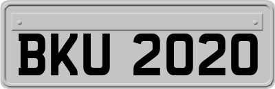 BKU2020