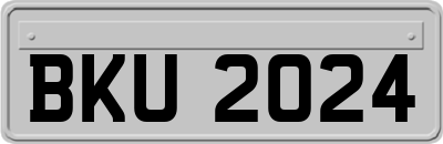 BKU2024