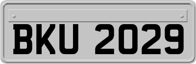 BKU2029