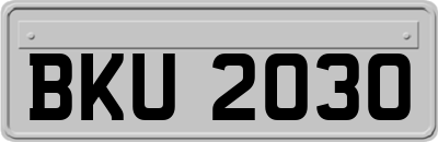 BKU2030