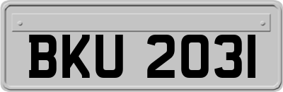 BKU2031