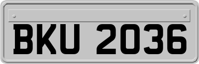 BKU2036