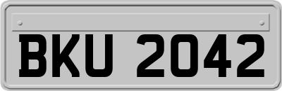 BKU2042