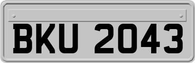 BKU2043