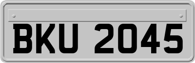 BKU2045