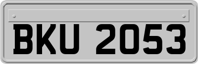 BKU2053