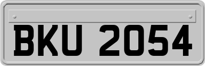 BKU2054