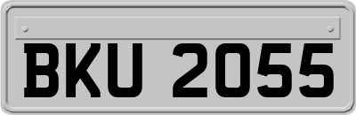 BKU2055