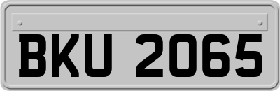 BKU2065