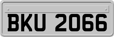 BKU2066