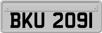 BKU2091